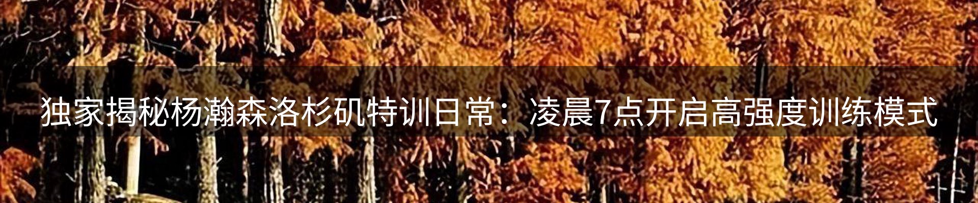 内页banner